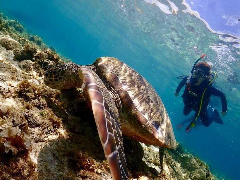 Cebu: Beach Scuba Diving Experience - Starting at the beachside shop