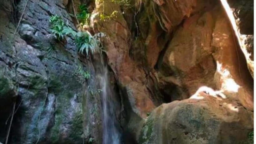Cebu: Cave and Waterfalls Hike with Market Visit - Why this Cebu day trip feels different