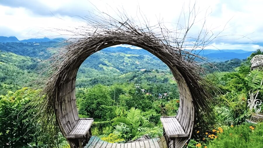 Cebu: Cebu City & Mountain Highlights Tour - Sirao Flower Garden, Cebu’s colorful mountain stop
