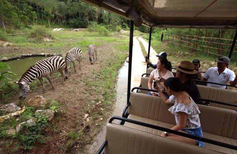 Cebu:Cebu Safari Adventure Park Day Trip - The safari truck: the day’s main thrill