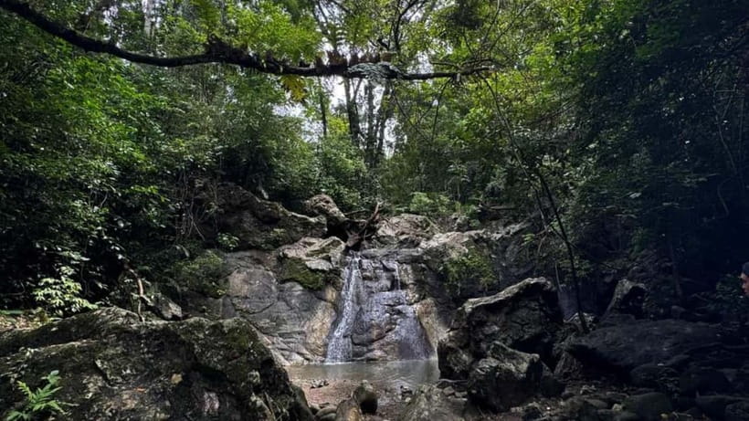 Cebu City: Guided Trekking Experience - Walking the Woods and River Paths