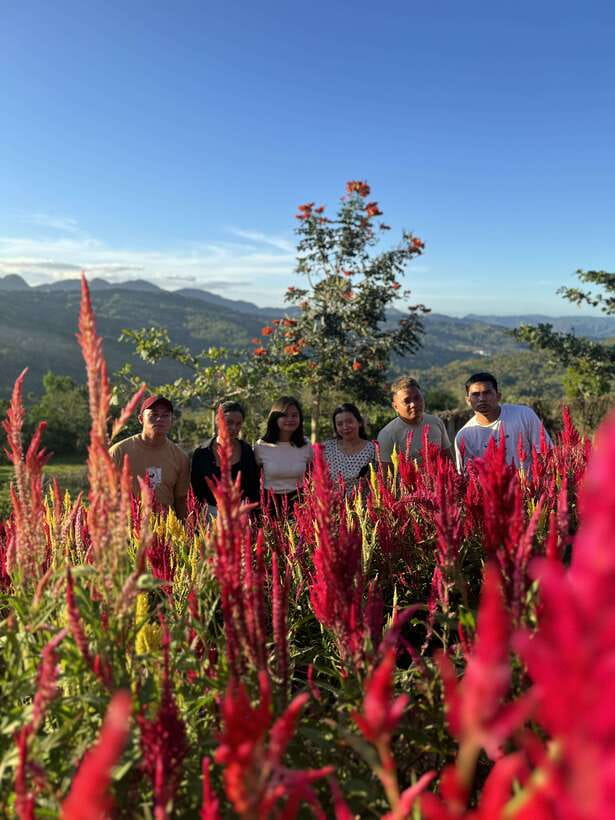 Cebu: City Highlights with Sirao Flower Garden Visit - A full day from Cebu streets to mountain views