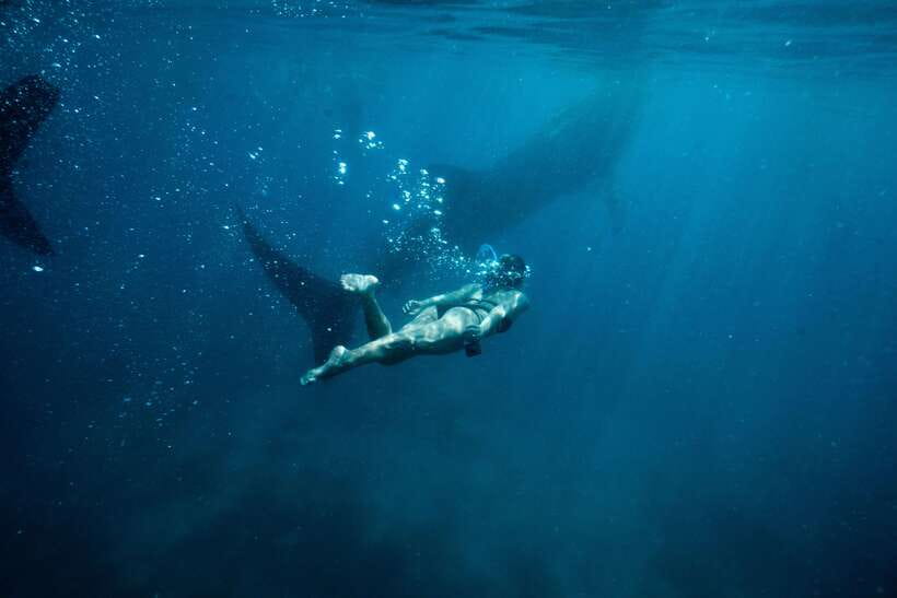 Cebu City: Whale Shark Swimming & Kawasan Falls Canyoneering - The road to Badian and a simple lunch