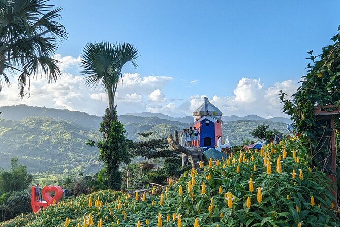 Cebu City with Sirao Garden Half Day Tour - The guide and driver can make or break the morning