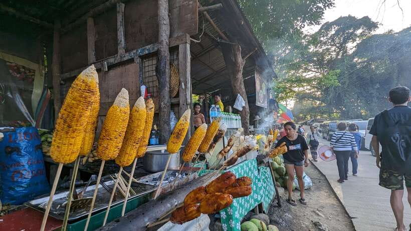 Cebu City with Sirao Garden Half Day Tour - Who will enjoy this tour most?