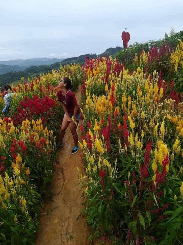 Cebu Highlands: Half-Day Escape with Optional Lunch - Traffic, timing, and the real length of the day