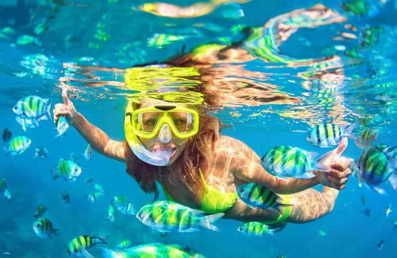 Cebu: Island Hopping 3 Islands + San Vicente Fish + Lunch - Key points to know before booking