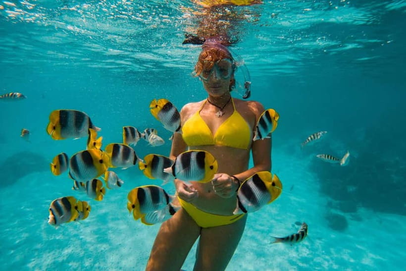 Cebu: Island Hopping 3 Islands + San Vicente Fish + Lunch - What the $121 price really buys you
