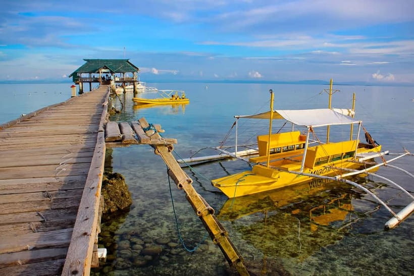 Cebu: Island Hopping 3 Islands + San Vicente Fish + Lunch - San Vicente Fish Sanctuary gives you an easy first snorkel
