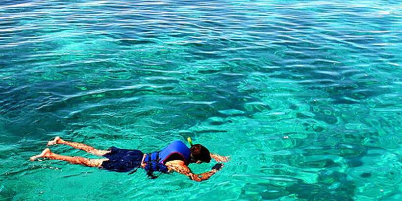 Cebu Island Hopping with Lunch - Gilutungan Marine Sanctuary: the strongest stop for snorkeling