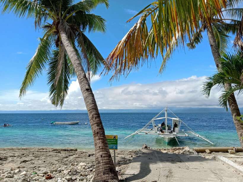 Cebu: Kawasan Canyoning, Moalboal Snorkeling, & Turtles Tour - What the four-hour Kawasan canyoning section feels like