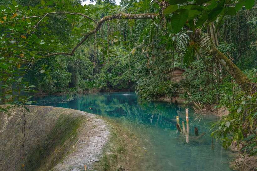 Cebu: Kawasan Falls Canyoneering & Cliff Jump Private Tour - How much value do you get for $132?