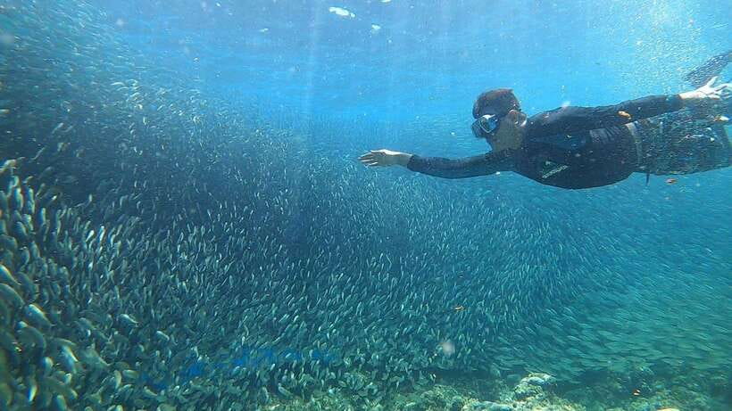 Cebu: Moalboal Island Hopping and Mantayupan Falls Day Trip - The practical weak spots
