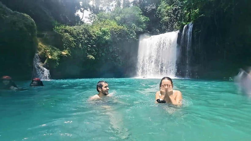 Cebu: Moalboal Sardine Run & Kawasan Falls Canyoneering - Moalboal’s sardines and sea turtles