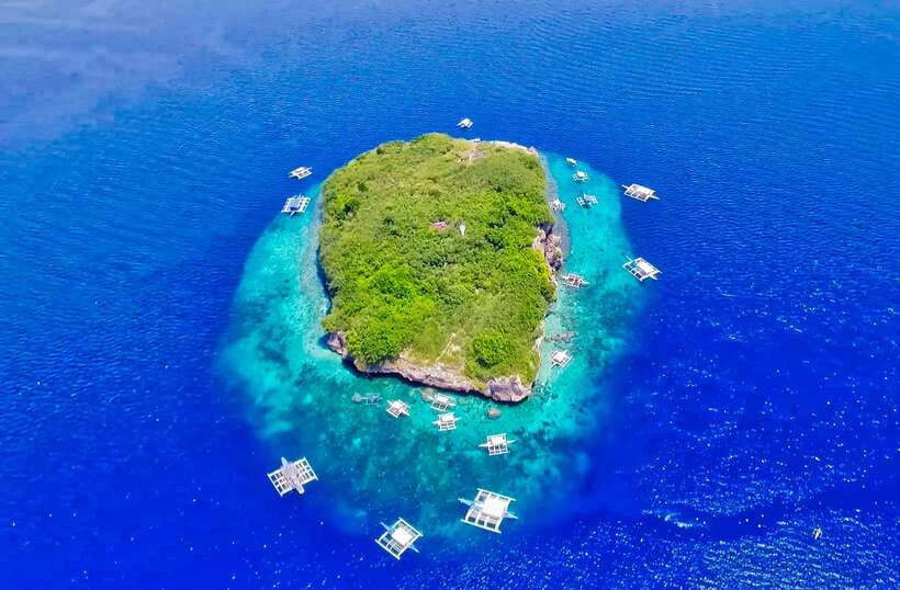 Cebu: Moalboal Sardines and Turtles Snorkeling Tour - Why Moalboal’s sardines are worth the long ride