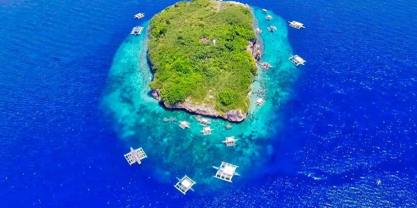 Cebu: Moalboal Sardines and Turtles Snorkeling Tour - Talisay Point and the turtle search