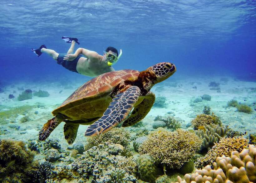 Cebu: Moalboal Sardines and Turtles Snorkeling Tour - The early pickup and the Cebu road journey