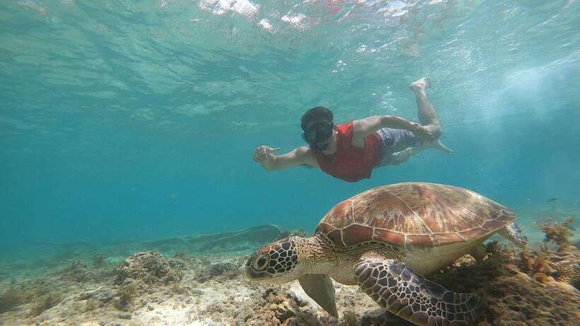 Cebu: Moalboal Sardines Run Snorkel & Kawasan Canyoneering - Is $142 good value?
