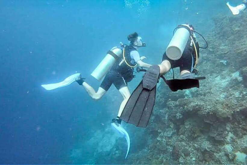 Cebu: Moalboal Scuba Diving, Sardines Run & Pescador Snorkel - Key points to know before booking