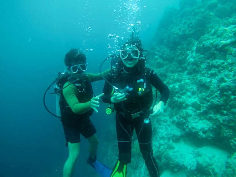 Cebu: Moalboal Scuba Diving with Sardines and Turtle Snorkel - Why the Moalboal sardine encounter is the star