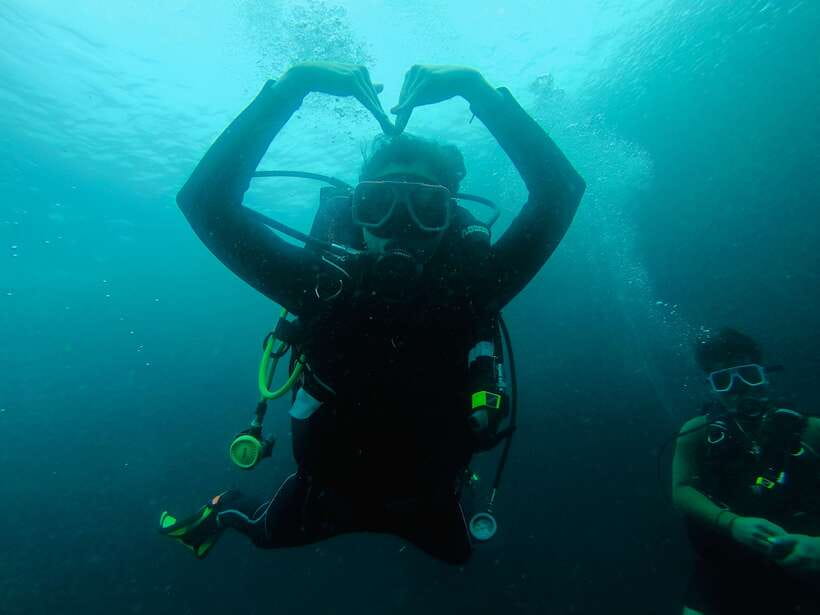 Cebu: Moalboal Scuba Diving with Sardines and Turtle Snorkel - The 11-hour schedule and Cebu transfer
