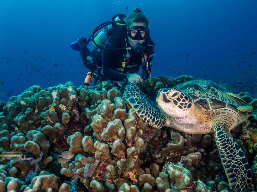 Cebu: Moalboal Scuba Diving with Sardines and Turtle Snorkel - Equipment, photography, and changing facilities