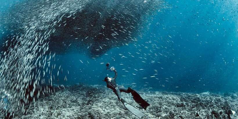 Cebu: Moalboal Scuba Diving with Sardines and Turtle Snorkel - Practical preparation for the water