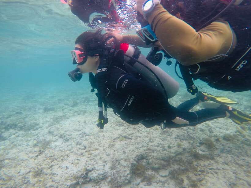Cebu: Moalboal Scuba Diving with Sardines and Turtle Snorkel - Should you book it?