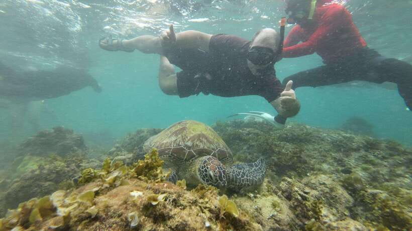 Cebu: Moalboal Snorkeling & Kawasan Canyoneering Adventure - One day, two very different Cebu experiences
