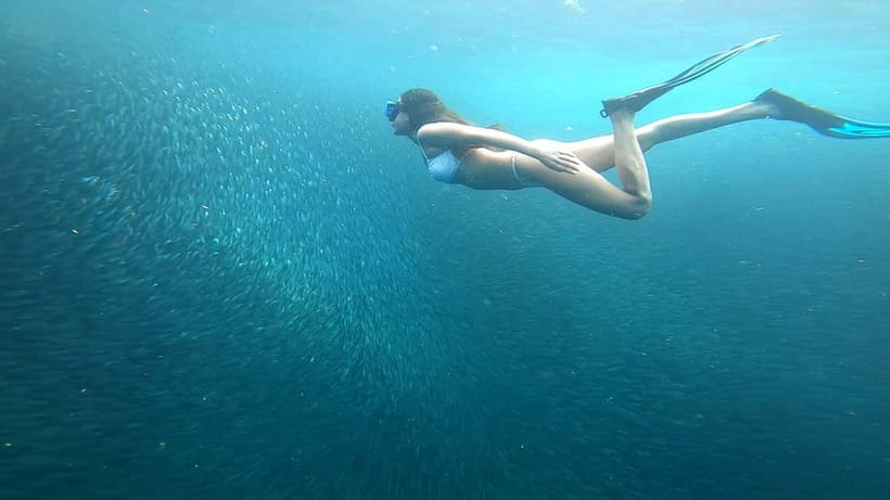 Cebu: Moalboal Snorkeling, Mantayupan Falls & ATV Adventure - Is $117 per person good value?