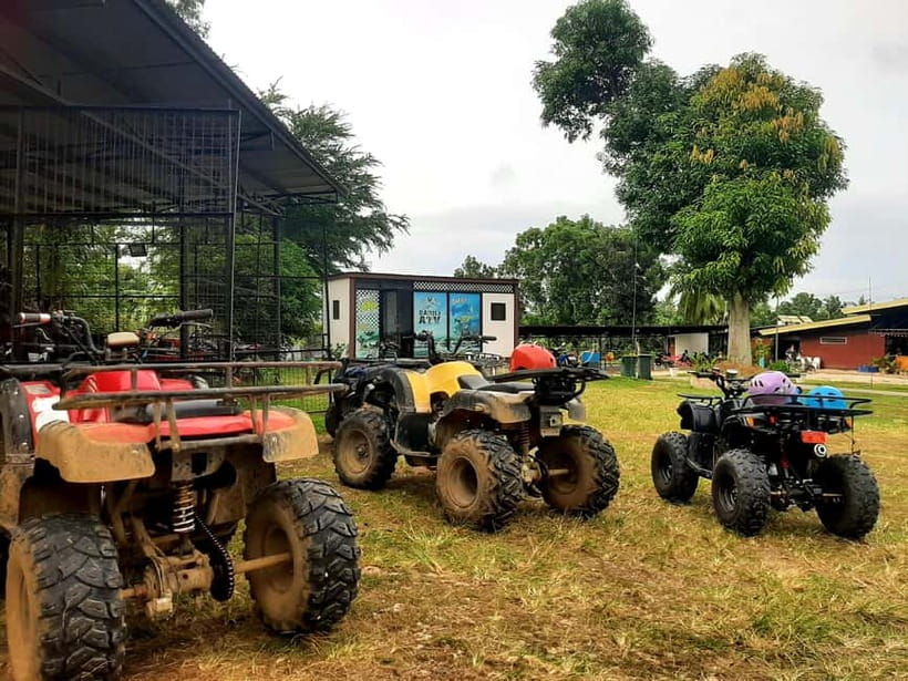 Cebu: Moalboal Snorkeling, Mantayupan Falls & ATV Adventure - Moalboal’s sardine run at Panagsama Beach