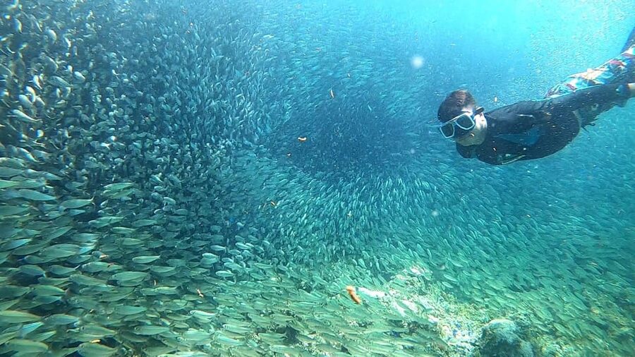 Cebu: Moalboal Snorkeling, Mantayupan Falls & ATV Adventure - Mantayupan Falls, Cebu’s tall waterfall
