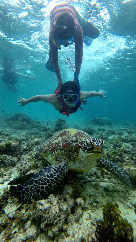 Cebu: Moalboal Snorkeling, Mantayupan Falls & ATV Adventure - Private transport, guides, and the long return