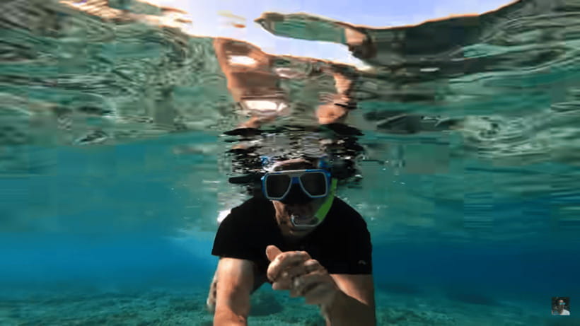 Cebu: Oslob Whale Shark and Moalboal Snorkeling Tour - Breakfast and the shift to Moalboal