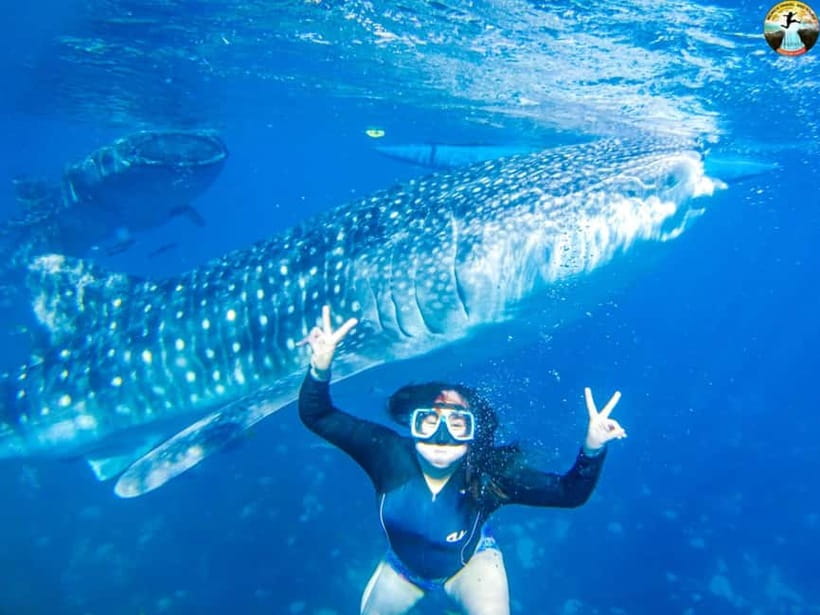 Cebu: Oslob Whale Shark Experience & Kawasan Canyoneering - Key points to know before booking