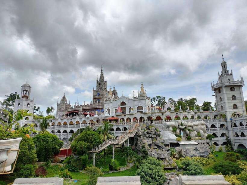 Cebu: Oslob Whale Shark, Simala Church & Ka Treasure Argao - Oslob whale sharks: the main event