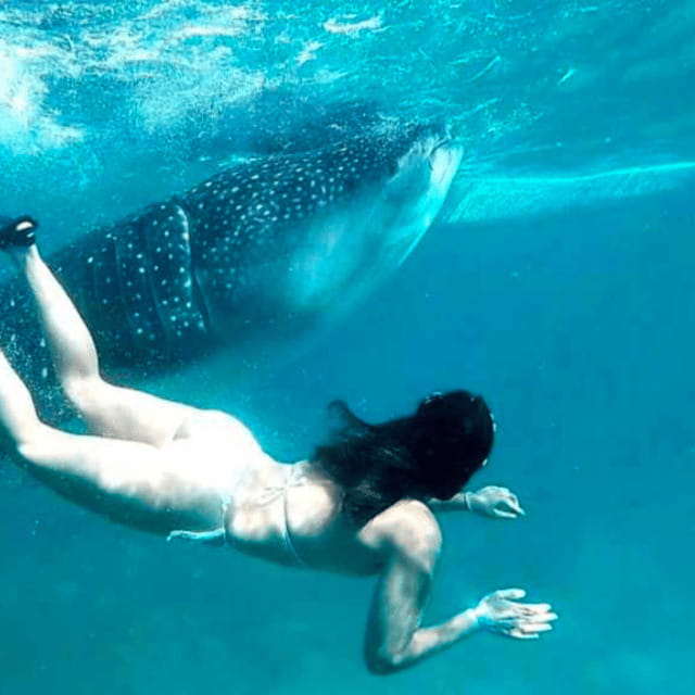 Cebu: Oslob Whale Shark, Sumilon, Ruins, Simala Church - The 3 AM start and the road south