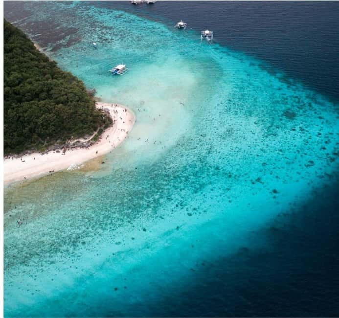 Cebu: Oslob Whale Shark Swim and Sumilon Island Day Tour - Key points to know before booking