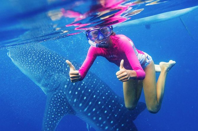 Cebu: Oslob Whale Shark Swimming and Kawasan Falls Canyoneering - The 3 a.m. road to Oslob