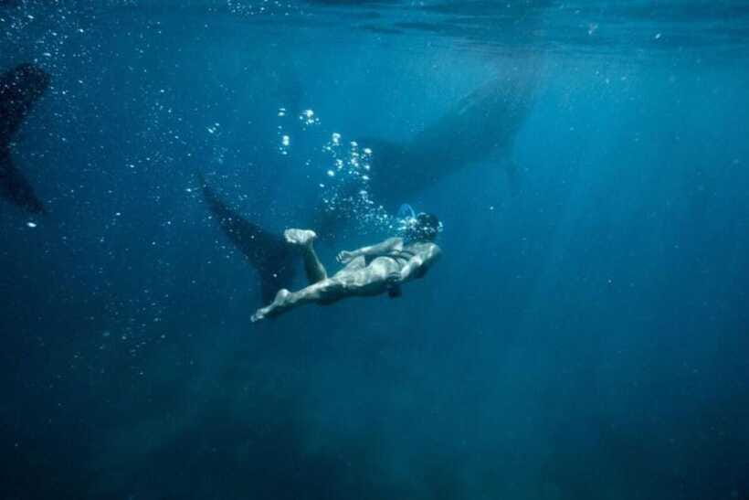 Cebu: Oslob Whale Shark Swimming and Tumalog Falls Tour - Tumalog Falls brings a calmer second act