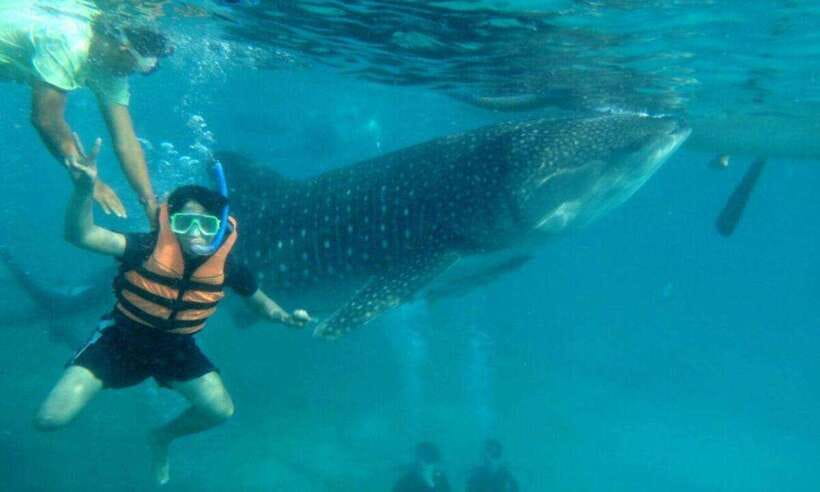 Cebu: Oslob Whale Shark Swimming and Tumalog Falls Tour - What to bring for a smoother day