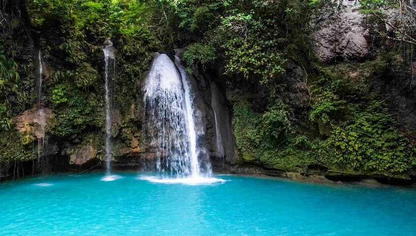 Cebu: Oslob Whale Shark Swimming Experience - Who will enjoy this Oslob tour most