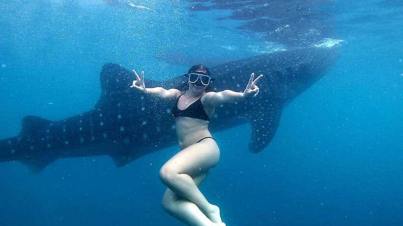 Cebu: Oslob Whale Shark Watching Tour with Hotel Transfer - Why Oslob whale shark watching starts so early