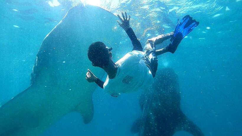Cebu: Oslob Whale Shark Watching Tour with Hotel Transfer - Arriving in Oslob for the whale shark encounter