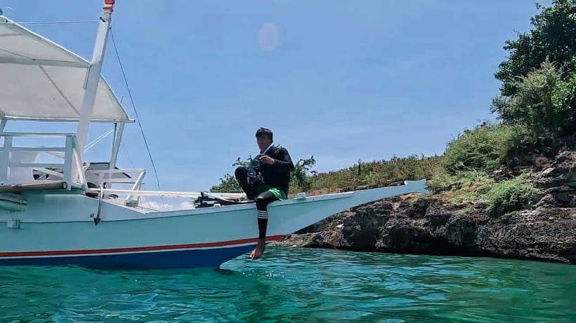 Cebu: Oslob Whale Sharks, Moalboal Sardine Run & Turtles - Is $113 good value for Cebu?