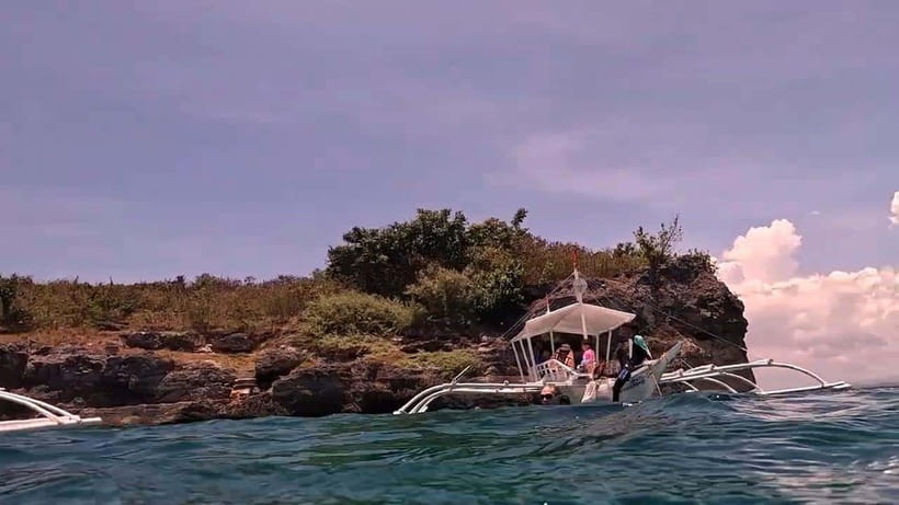 Cebu: Oslob Whale Sharks, Moalboal Sardine Run & Turtles - What is included, and what costs extra