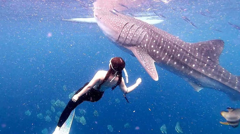 Cebu: Oslob Whale Sharks, Tumalog Falls & Sardine Snorkeling - Cooling off at Tumalog Falls