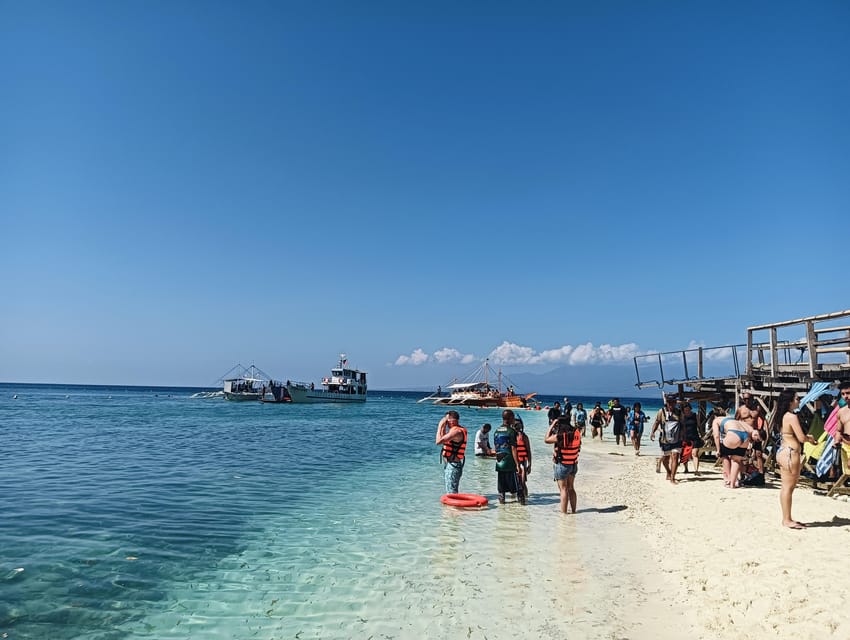 Cebu: Oslob Whale Sharks, Tumalog Falls & Sardine Snorkeling - Snorkeling with sardines and sea turtles in Moalboal