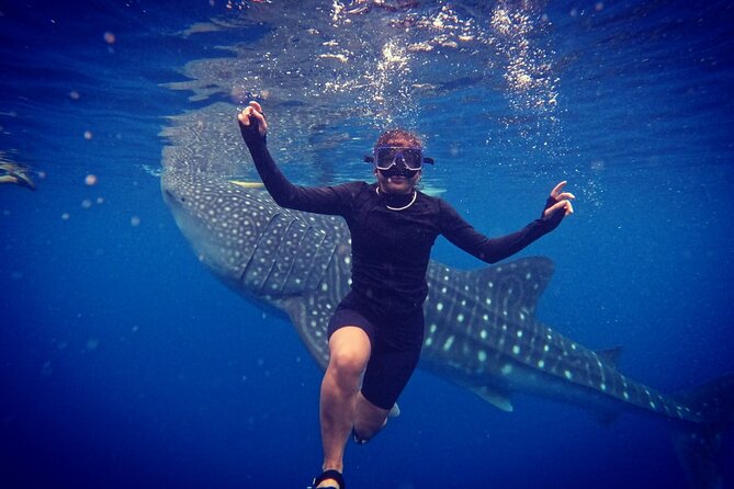 Cebu Oslob Whaleshark and Sumilon Island Full-Day Private Tour - Swimming with whale sharks in Oslob