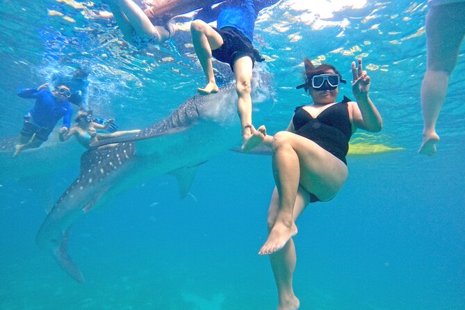 Cebu Oslob Whaleshark and Sumilon Island Full-Day Private Tour - What the private format changes